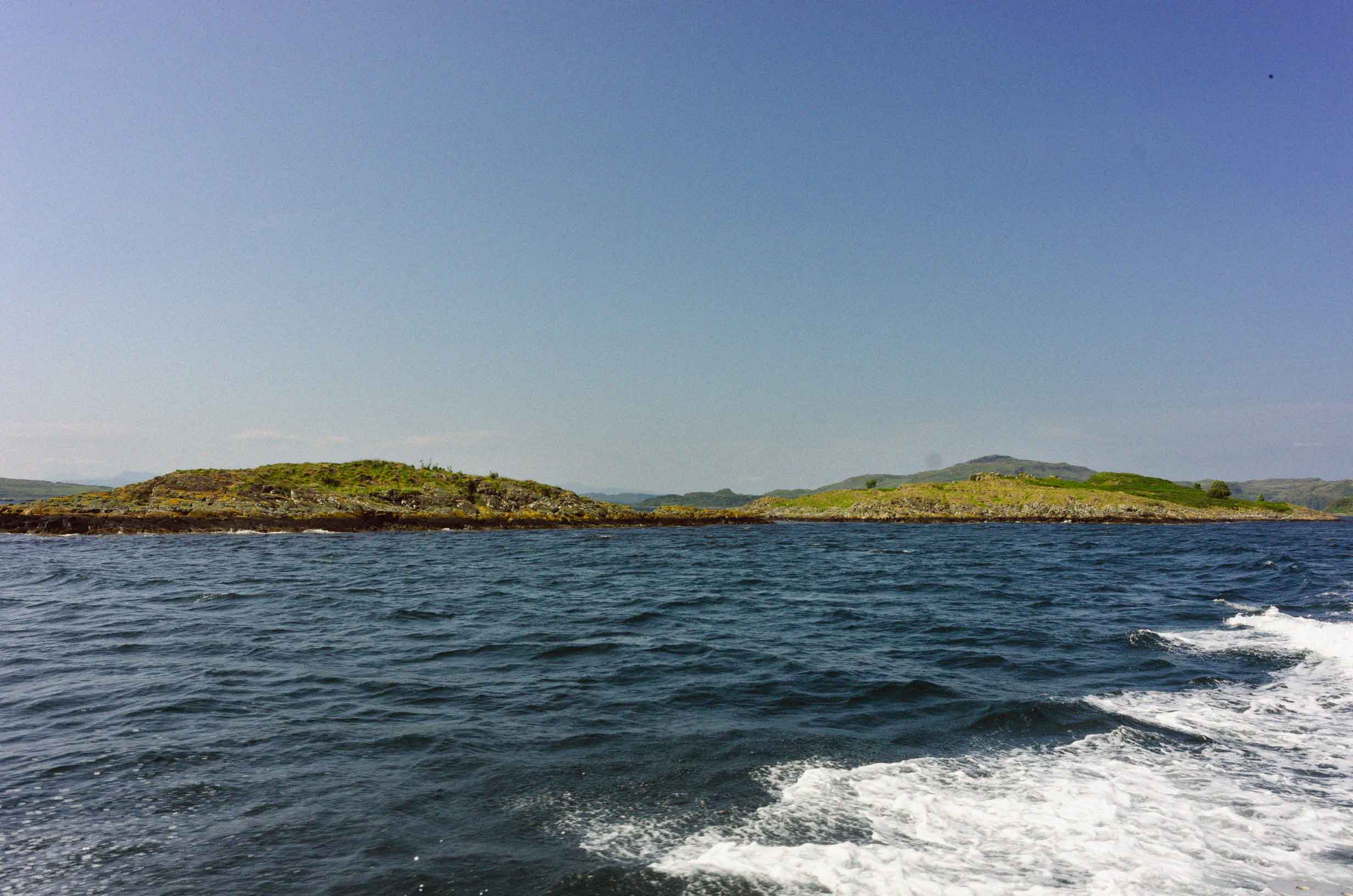 Sustainable Aquaculture: The Future of Fishing