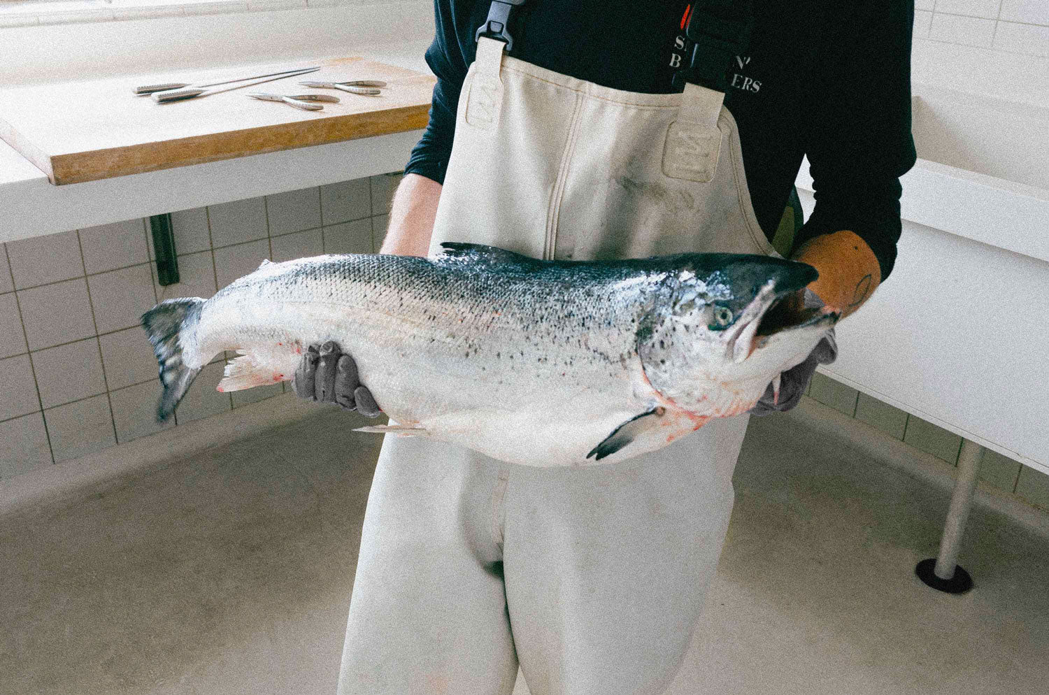 Raw smoked salmon: is it safe to eat?