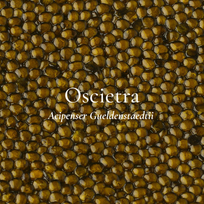 Oscietra Caviar