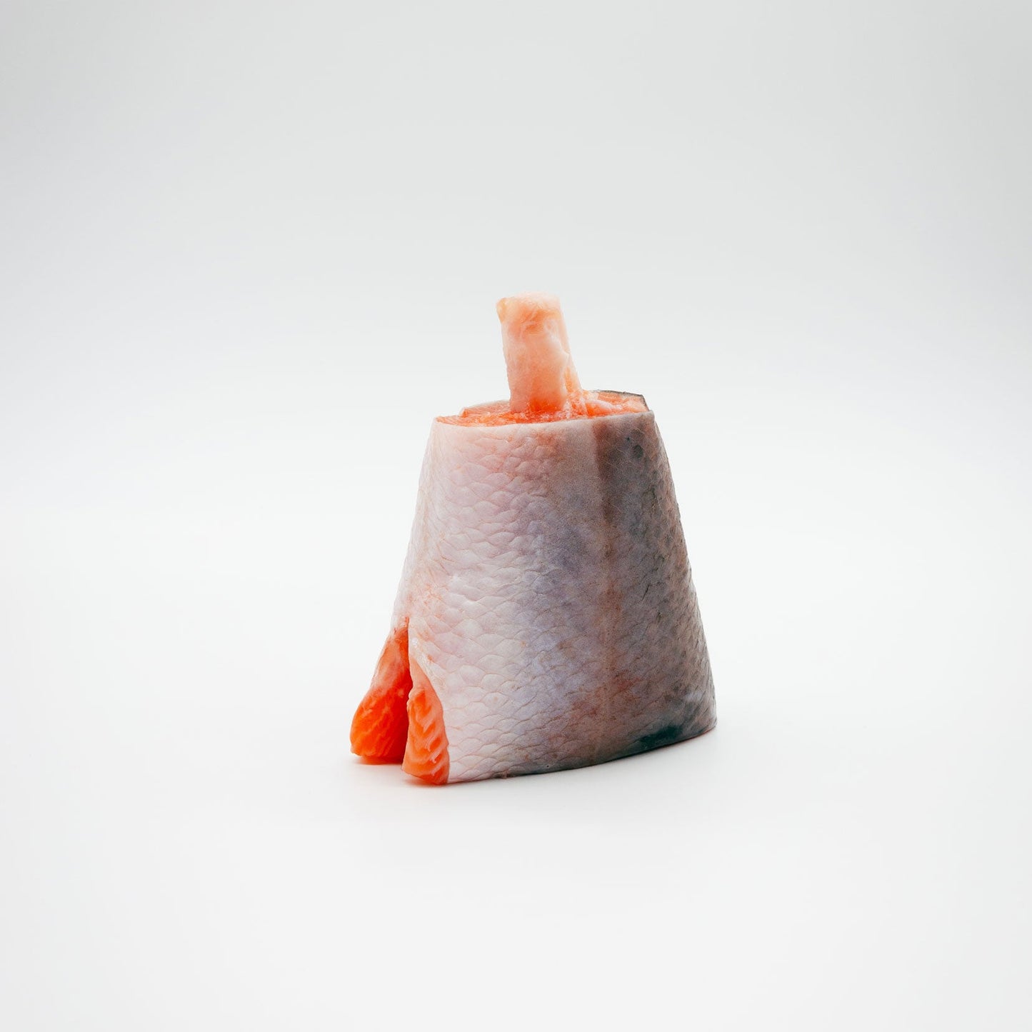 Salmon, 14 Days Dry Aged Shank
