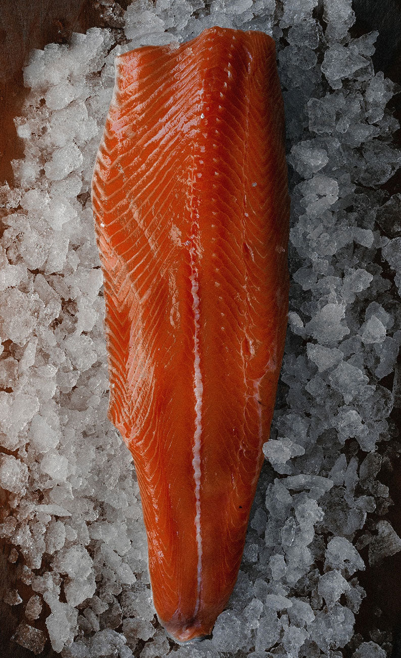 Whole side fresh salmon